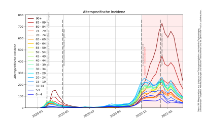 Altersspezifische Inzidenz gesamt.png