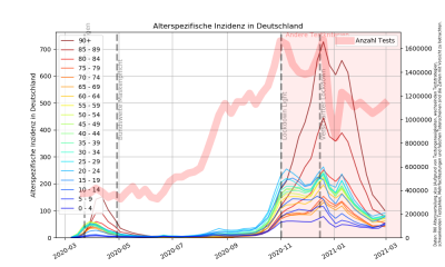 Altersspezifische Inzidenz gesamt.png